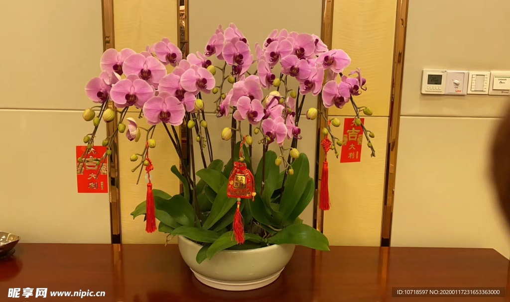 花束花草