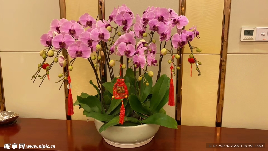 花束花草