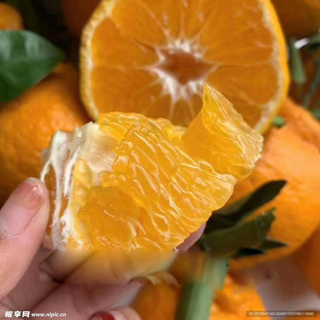 橘子