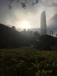 城市美景