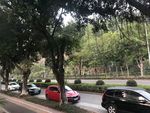 自然美景
