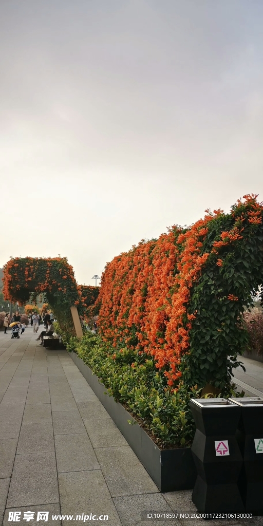 自然美景