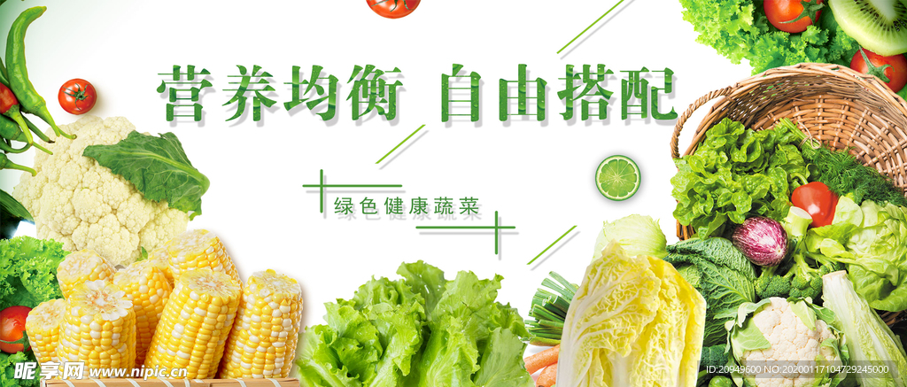 蔬菜海报  新鲜 有机菜 饭店