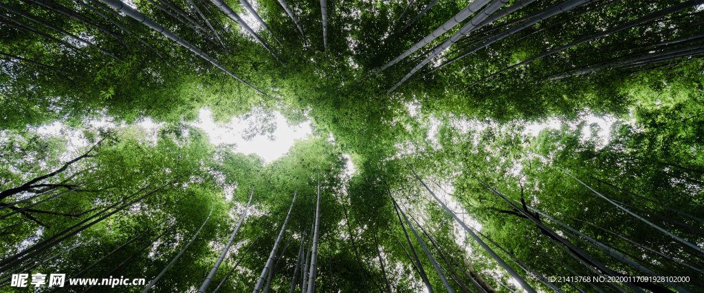 清新自然风景