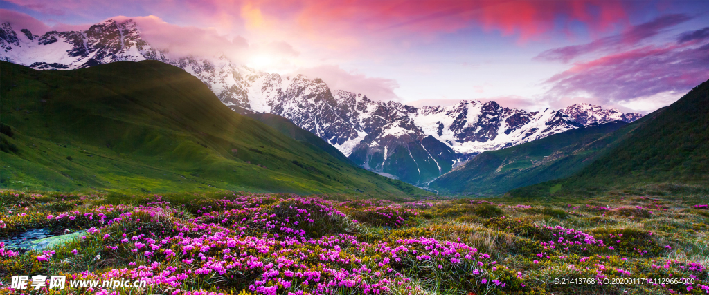 清新自然风景