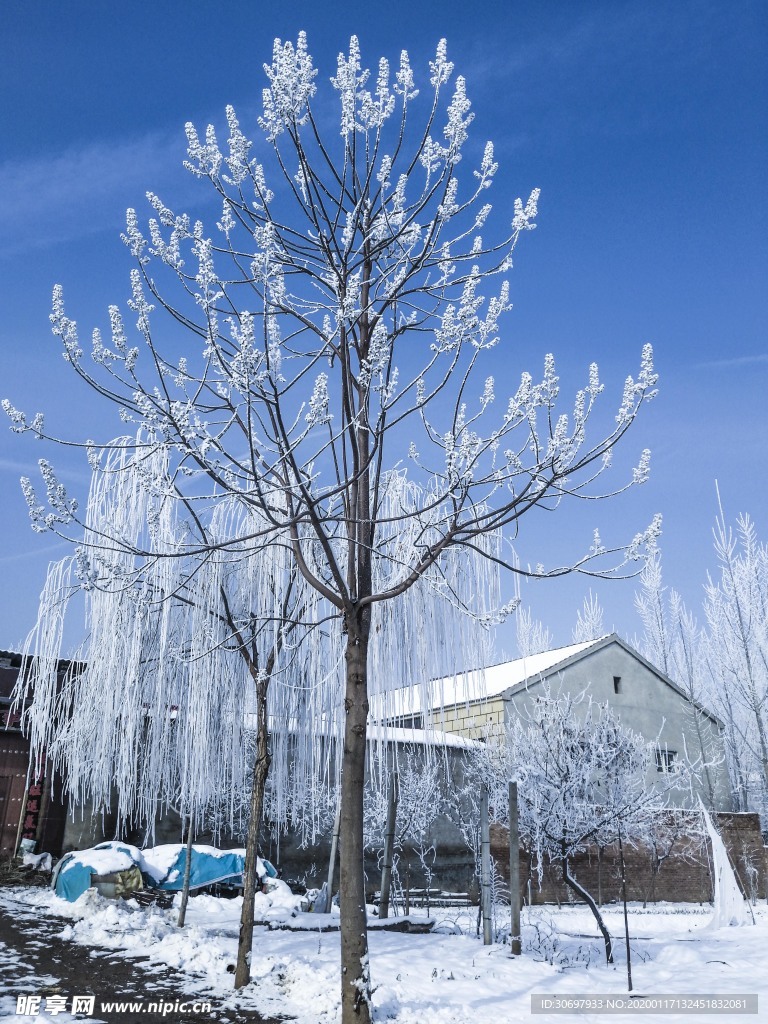 雪村