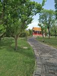 风景