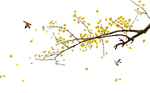 花鸟