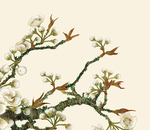 花鸟