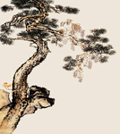 松树