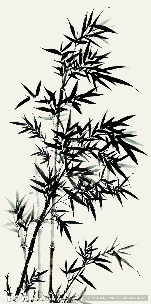 竹子