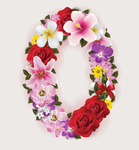 鲜花数字