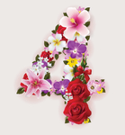 鲜花数字