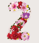 鲜花数字