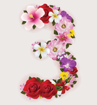 鲜花数字