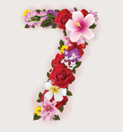 鲜花数字
