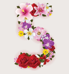 鲜花数字