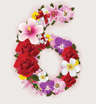 鲜花数字