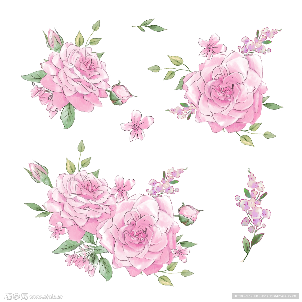手绘鲜花