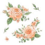 手绘鲜花