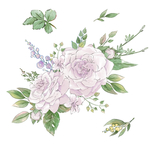 手绘鲜花