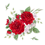 手绘鲜花