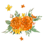 手绘鲜花