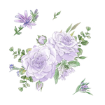 手绘鲜花