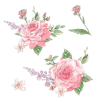 手绘鲜花