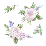 手绘鲜花