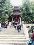 美景