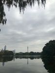 美景