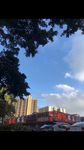 美景