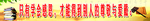注意  观察  身边  感恩