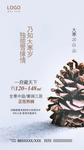 大寒海报 24节气