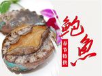 鲍鱼
