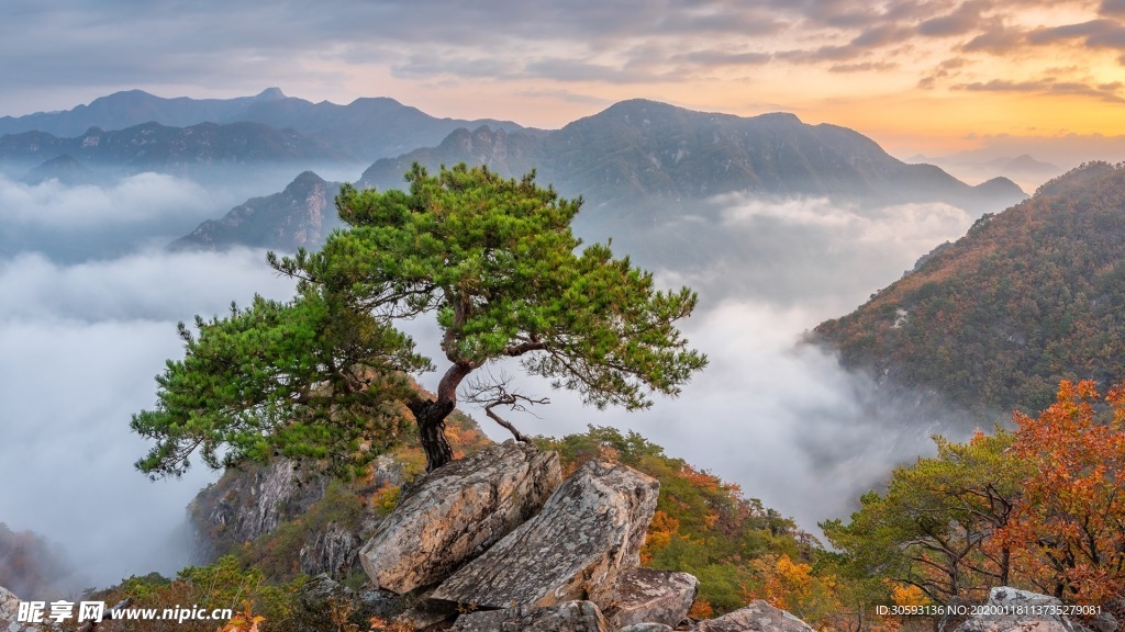 山间
