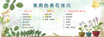 养花技巧