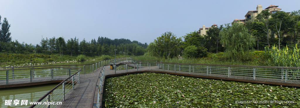 水系