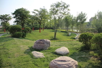 庭院