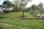 庭院