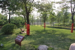 庭院