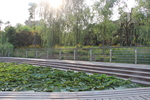 庭院