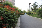 道路
