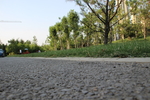道路