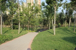 庭院