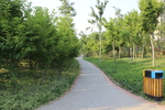 庭院