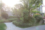 庭院
