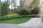 庭院