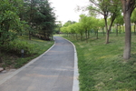 道路